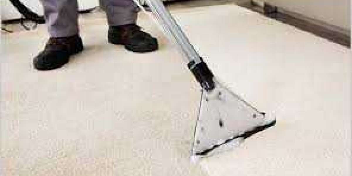 ﻿﻿Professional Carpet Cleaning: The Key to a Refined Home Aesthetic